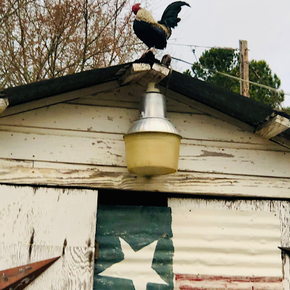 Barefoot Gee's campsite