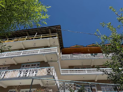 Hotel The Premium Villa Manali View
