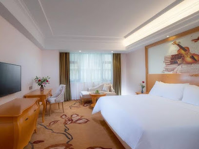 Vienna Hotel