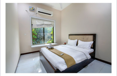 Luxurious palm villa