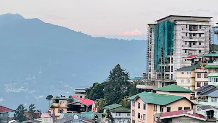 Dolma Dhim Homestay