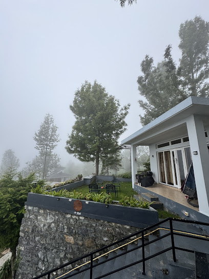 The Mist