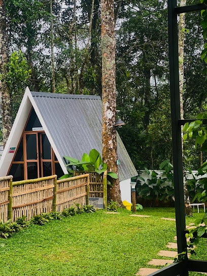Roots Munnar Resort