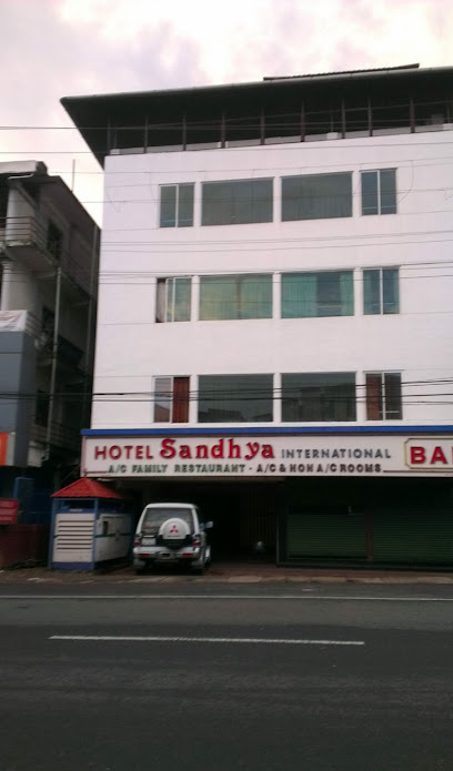 Hotel Sandhya International-Maharani