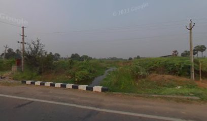 Anoop Hotel and Lodge