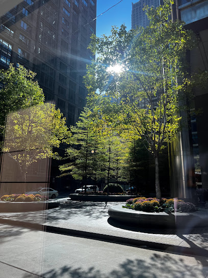 Hyatt Place Chicago/Downtown-The Loop
