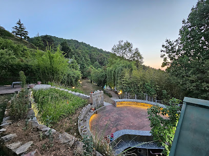 Vanya - Mukteshwar