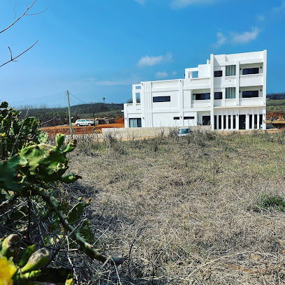 山生有信Serendipity House