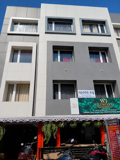 Hotel Wildberrys Ocean Breeze (Basu)