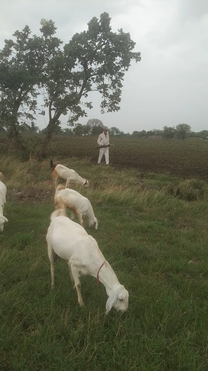 बैरागी मिष्ठान भंडार ( महाकाल टी- स्टाल)