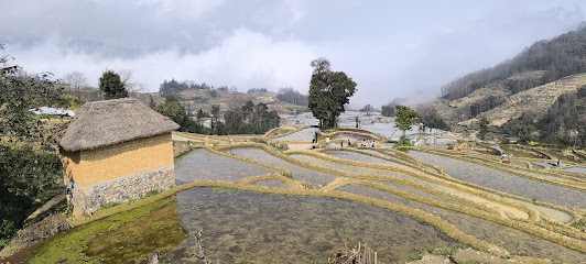爱春蓝色梯田酒店