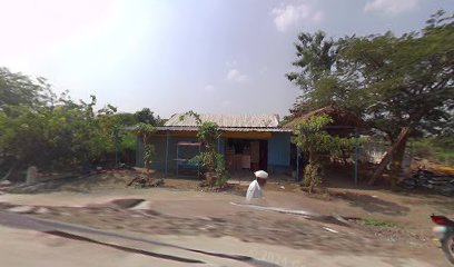 P S NATIKAR