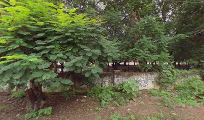 Pithapuram hotels. Com( S.L.S.Travels)