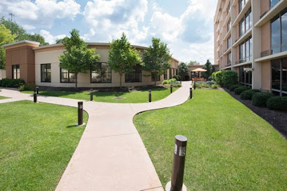 Courtyard Canton