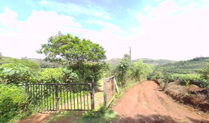 Misty view vagamon