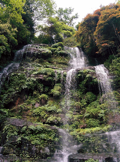 天台山大酒店