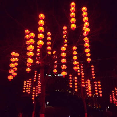 飞达国际大酒店