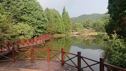 宁波仰天湖山庄