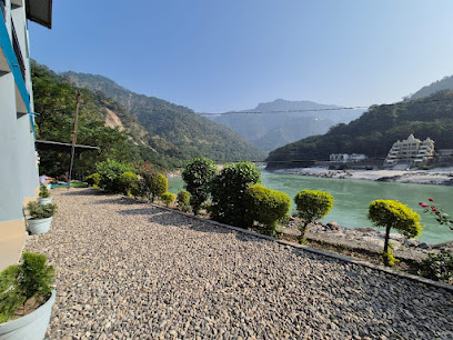Himalayan Tree on the Ganges, Rishikesh