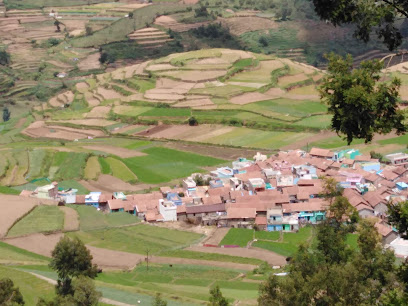 Kodai rest inn
