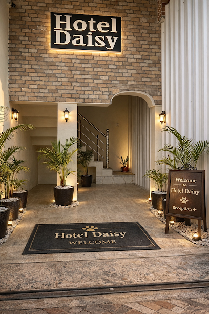 Hotal Daisy