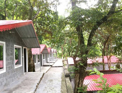 BIRDS (the jungle retreat) rishikesh resort/camp