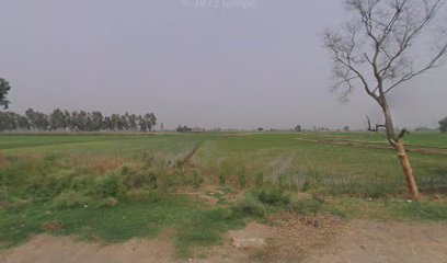 Rajsthani dhaba tarn taran
