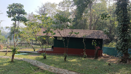 The Nest Resort Thattekad