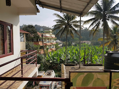 Hotel Rain Forest