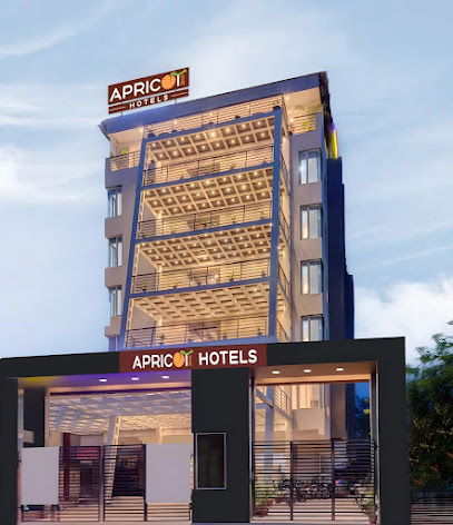Hotel Apricot One - Udaipur