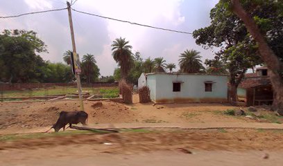 Viraj Hotel Karbindha