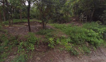 Shanti Vanam Home Stay