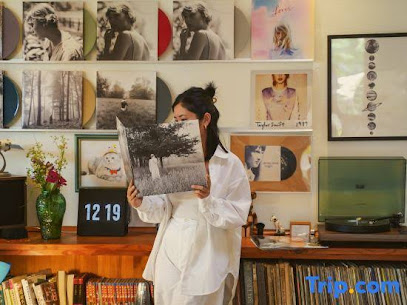 Harvestmoon vinyl villa