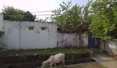 Al madina biryani house