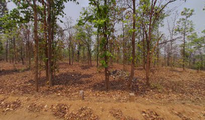 Baikhuthpur sagun garden