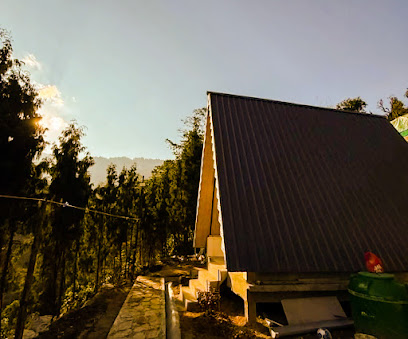 Cozy Nest Stay