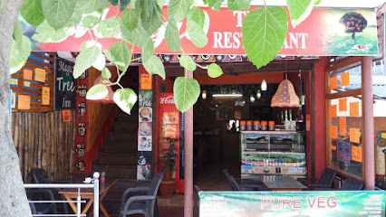 Magic Tree Coffee Shop and Guesthouse