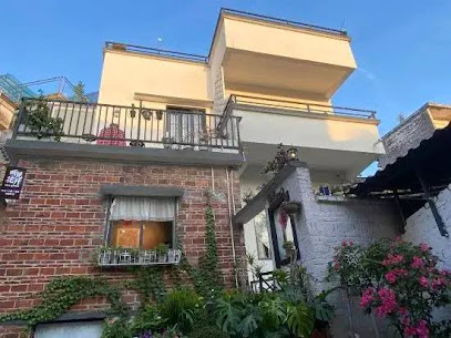 cats garden home stay