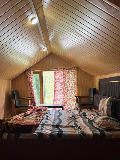 COZY HAVEN