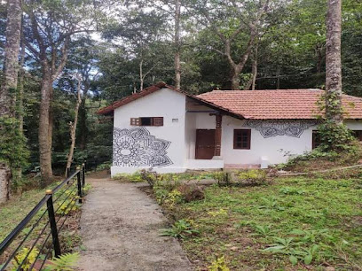 Coorg Anekad Jungle Stay Resort
