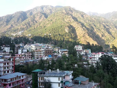 Hotel Bhagsu Heights