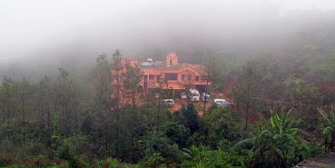 Misty View