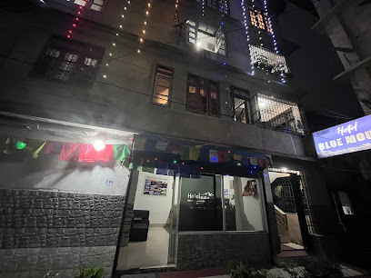 HOTEL BLUE MOUNT