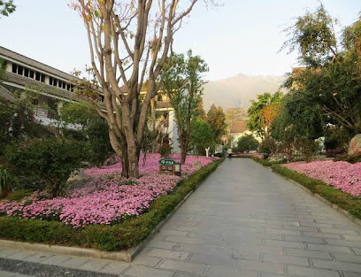 大理古榕会馆