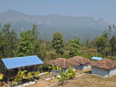 Mistys Homestay Chikkamagaluru
