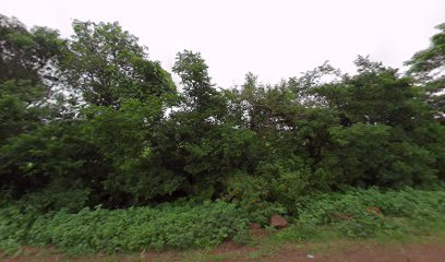 Gangesh barmaiya