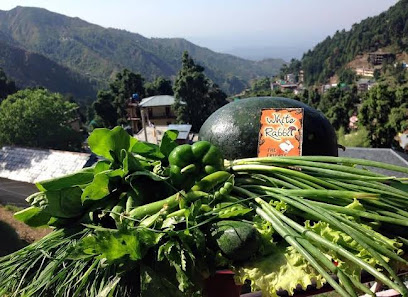 White Rabbit guest house