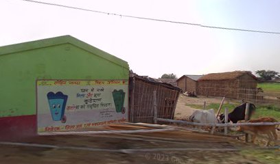 Bijendra yadav house