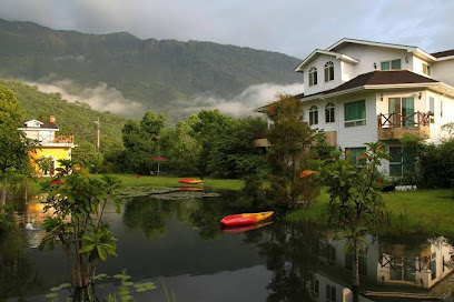 发现树湖