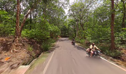 Dandeli power star resort